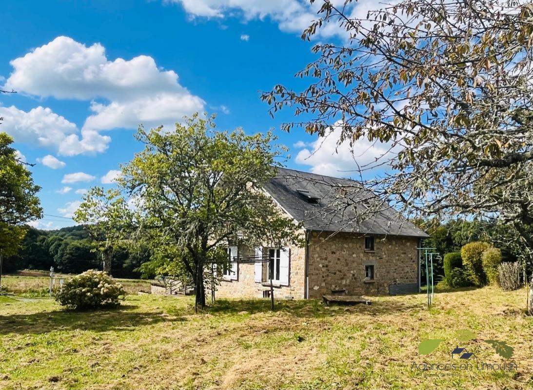 Purchase: House (19260)