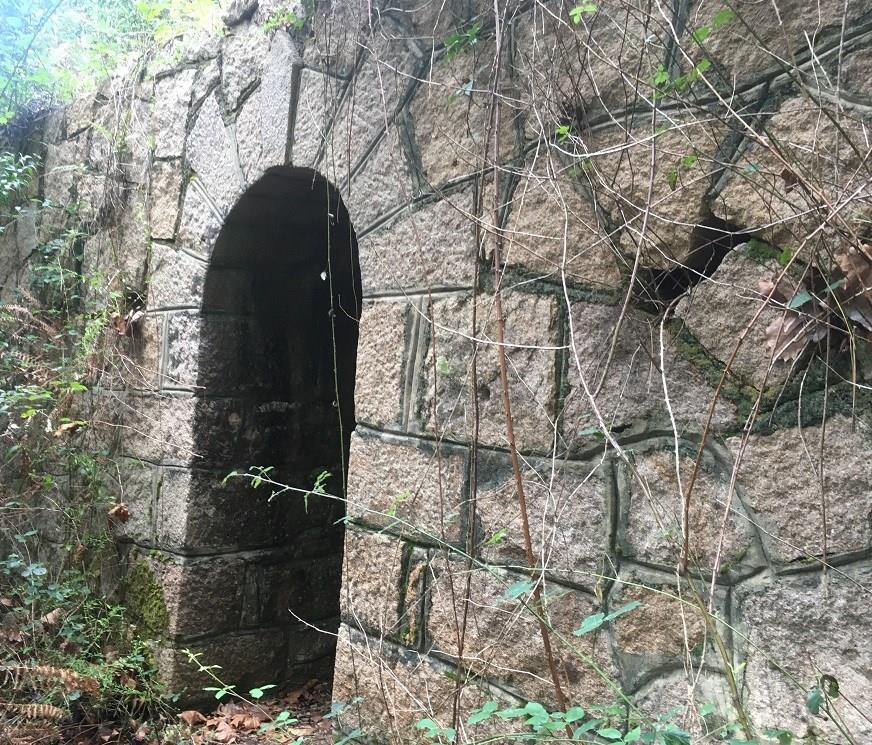 Cumpărare: Casă (2735)