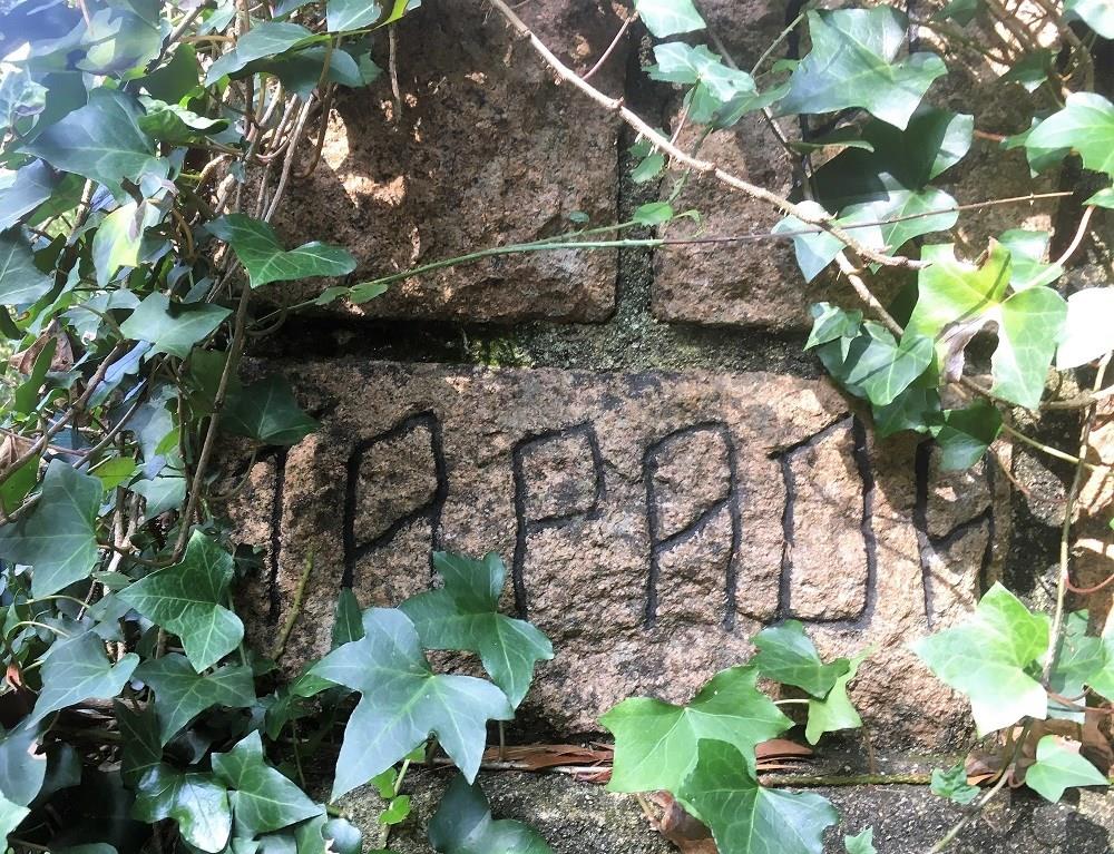 Cumpărare: Casă (2735)