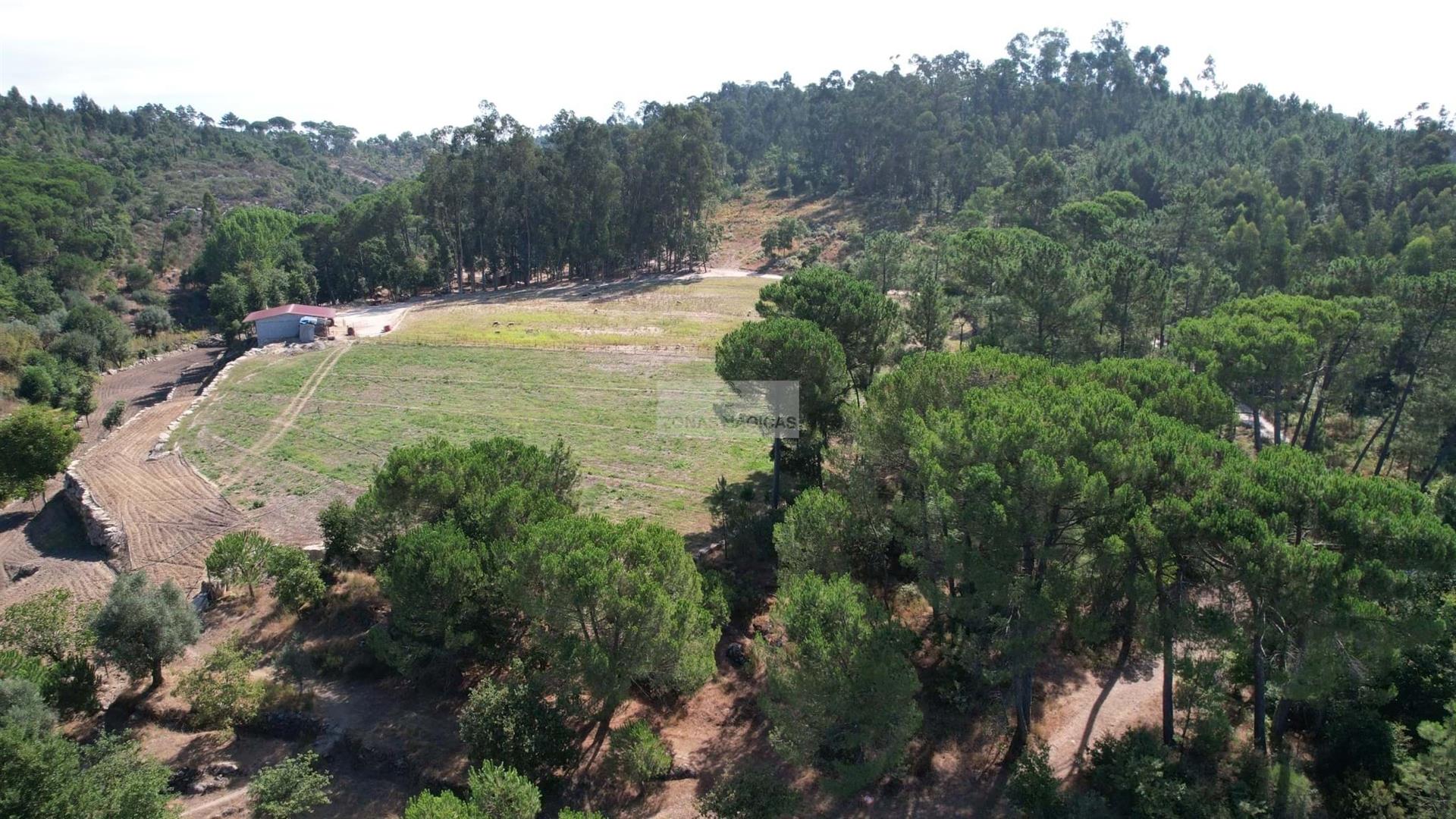 Rustic Land in Carregal do Sal ( Beijós )