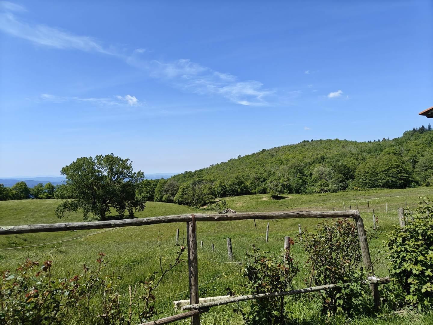 6 Bedrooms - Villa - Tuscany - For Sale - A6273rva