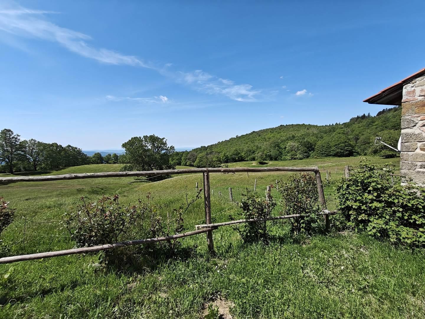 6 Bedrooms - Villa - Tuscany - For Sale - A6273rva