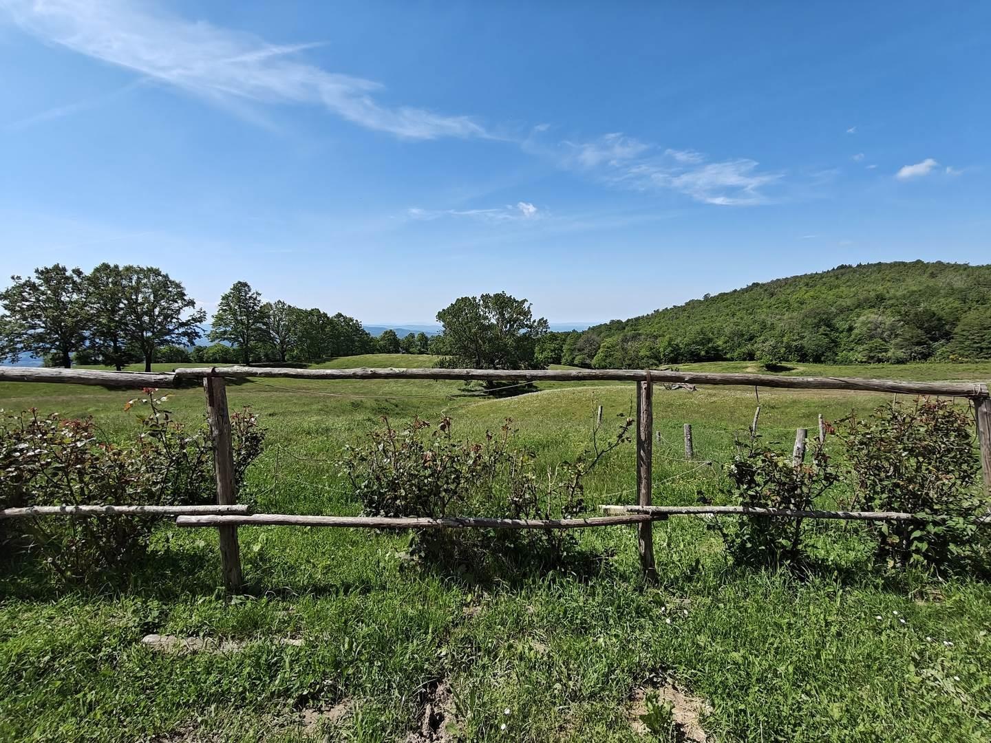 6 Bedrooms - Villa - Tuscany - For Sale - A6273rva