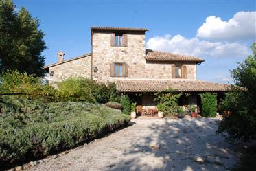 Old stone farmhouse with panoramic pool
