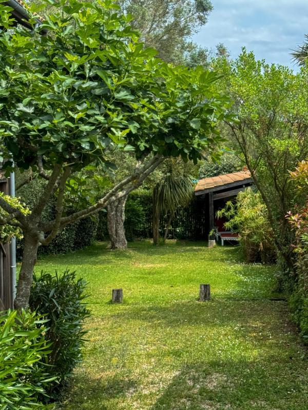 Vivez l'exception : maison authentique et vue imprenable sur
