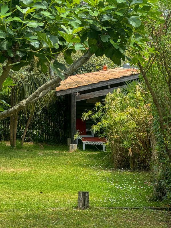 Vivez l'exception : maison authentique et vue imprenable sur