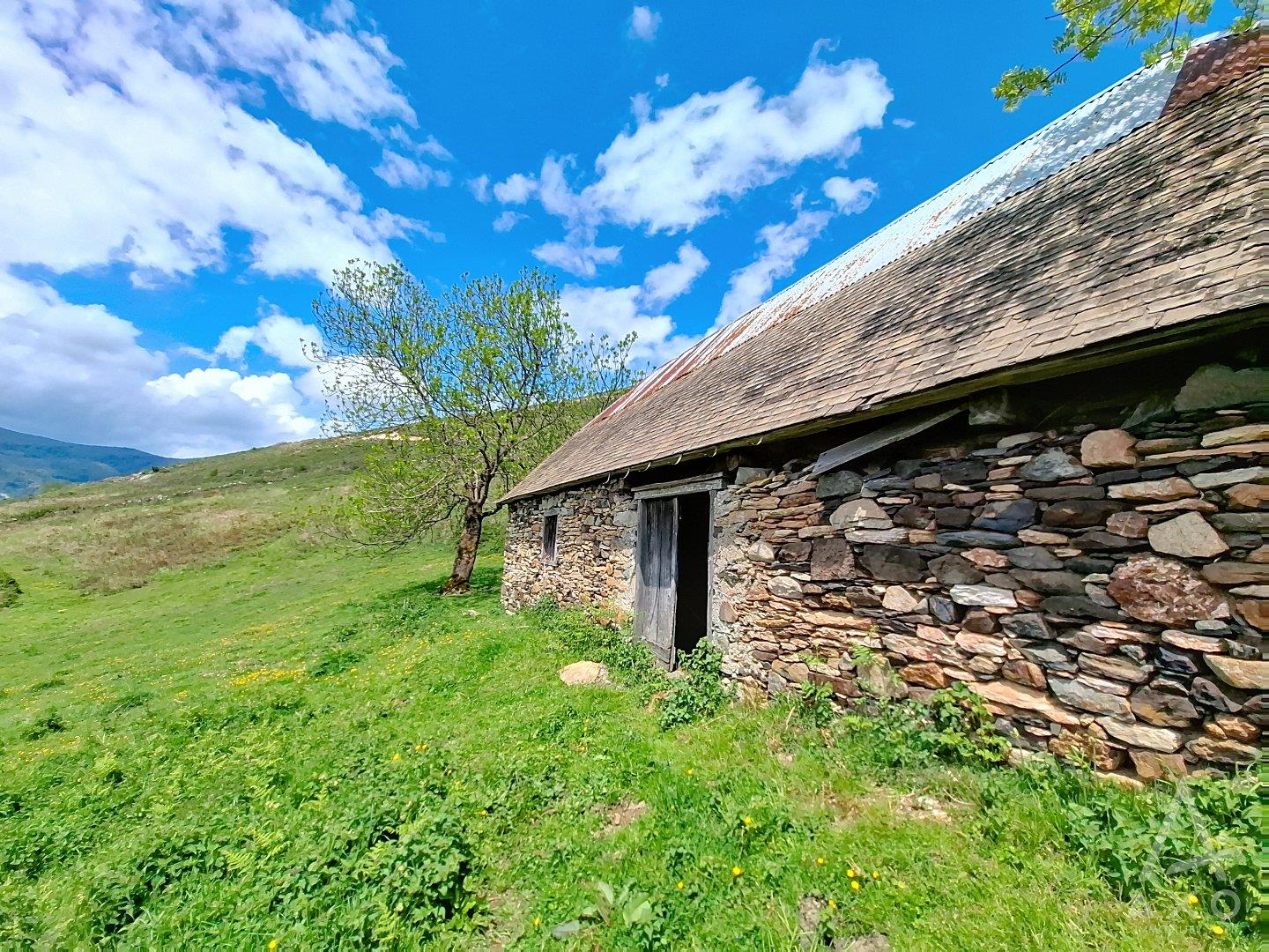 Barn