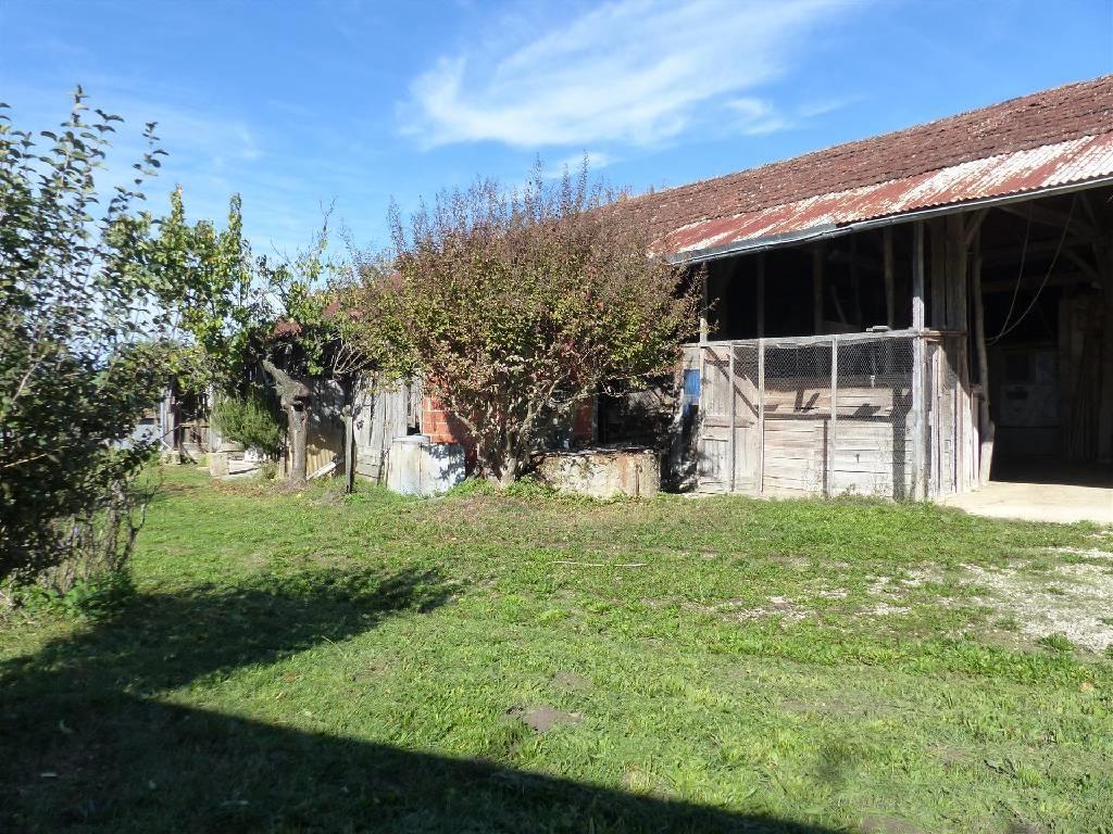 Purchase: House (24440)