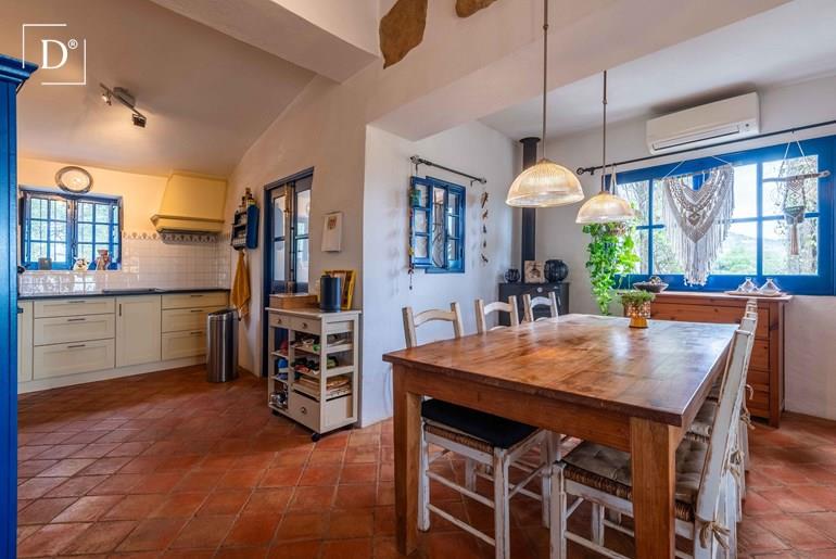 Beautiful Farmhouse with 2 Annexes, Garage , Pool and Sea View near Estoi