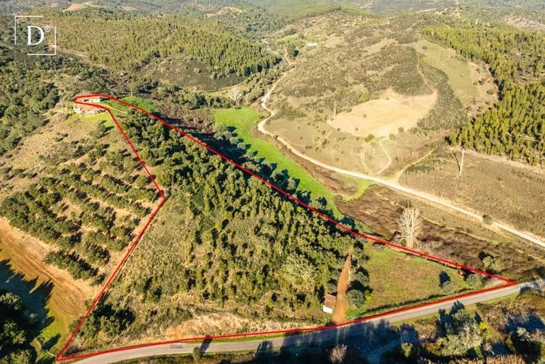 Unfinished property with 1.9 hectare near São Martinho das Amoreiras