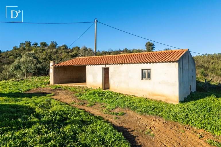 Unfinished property with 1.9 hectare near São Martinho das Amoreiras