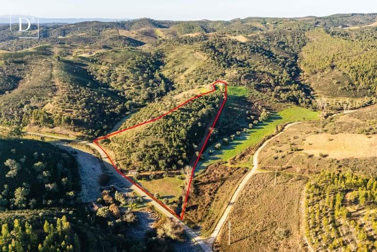Unfinished property with 1.9 hectare near São Martinho das Amoreiras