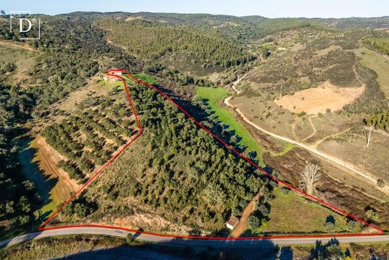 Unfinished property with 1.9 hectare near São Martinho das Amoreiras