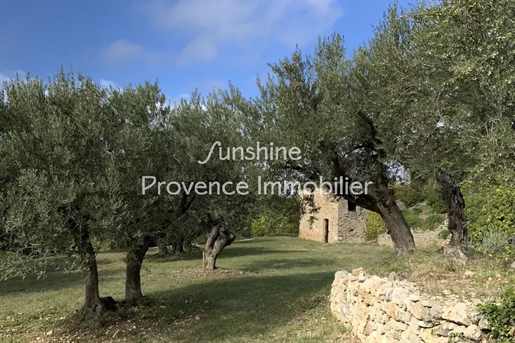 Magnificent Charming Property With Olive Grove