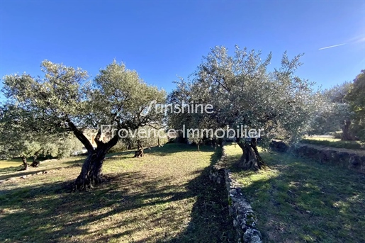 Charmerende ejendom på en gammel olivenlund