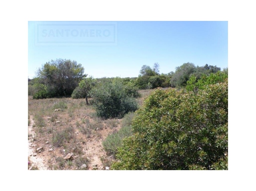 Agricultural land with a total area of 14.200 m², situated close to Guia and Albufeira.