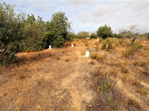 Rustikales Land in Guia-Albufeira.