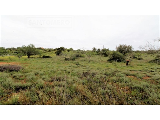 Land for agriculture 9320 m2
