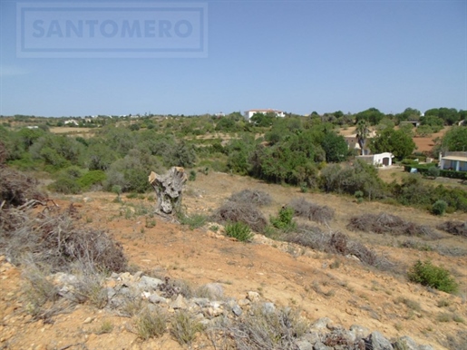 Agricultural land with 4,374 m² in Pêra close to zoomarine, Albufeira.