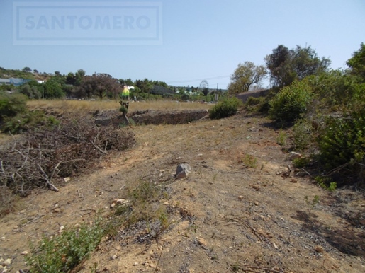 Agricultural land with 4,374 m² in Pêra close to zoomarine, Albufeira.