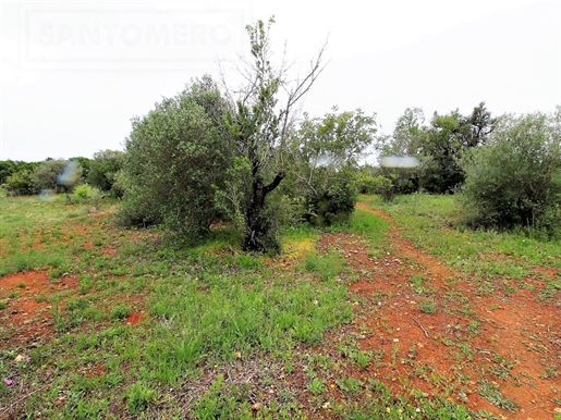 Rustic land with 5,740 m2