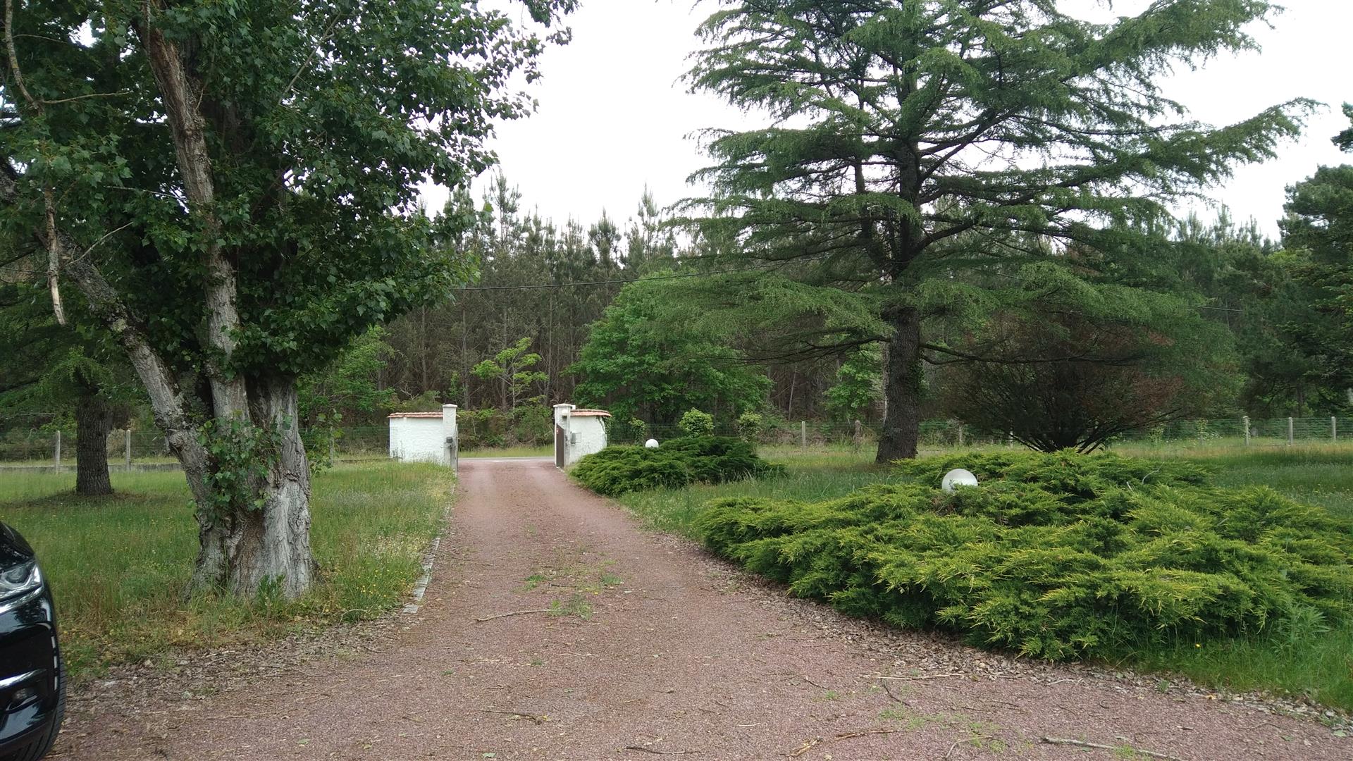 Pessac soberbo contemporâneo de 220 m2 em 1,5 haha