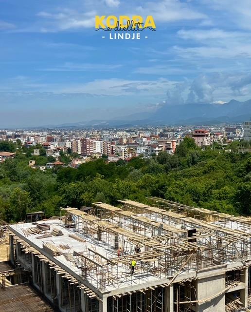 Kupnja: Kuća (1001-1028)
