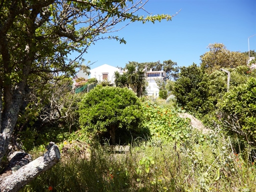 Haus 4 Schlafzimmer Verkauf Sintra