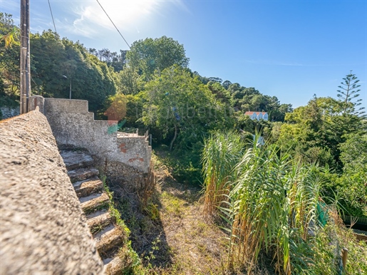 House 3 Bedrooms +1 Sale Sintra