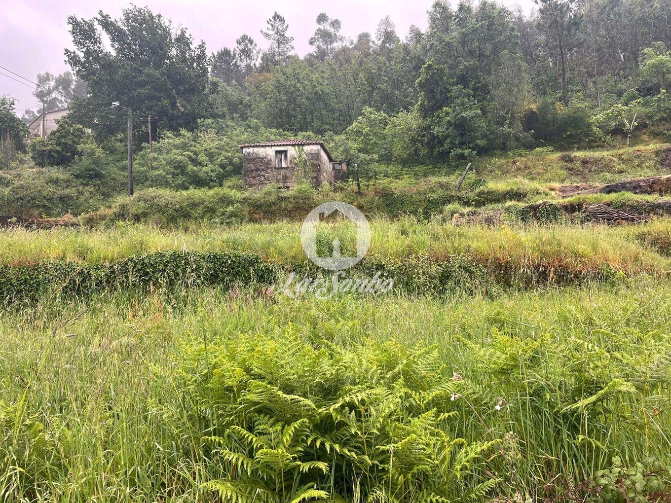 Aankoop: Terrein (4750)