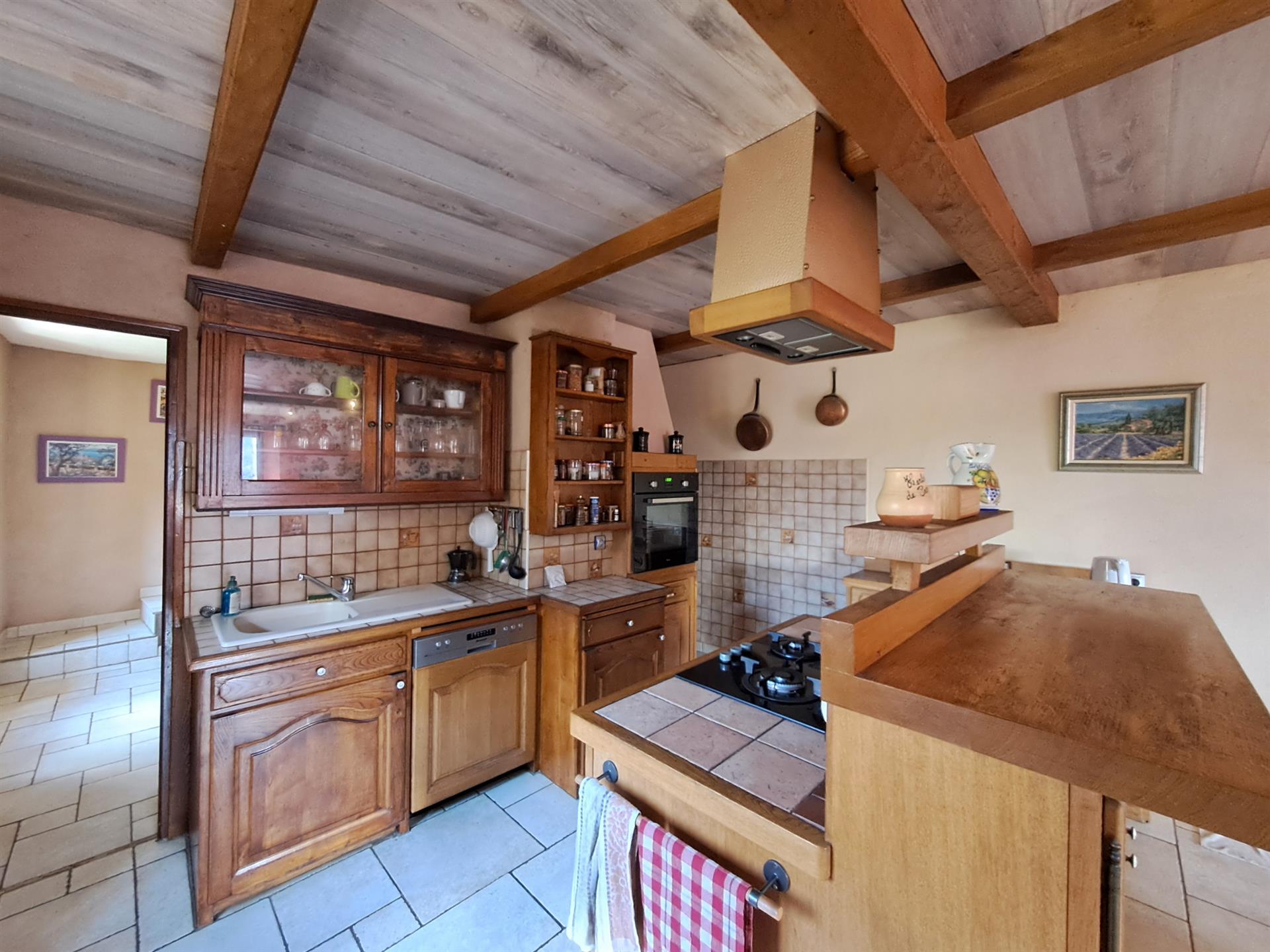 Stone character house