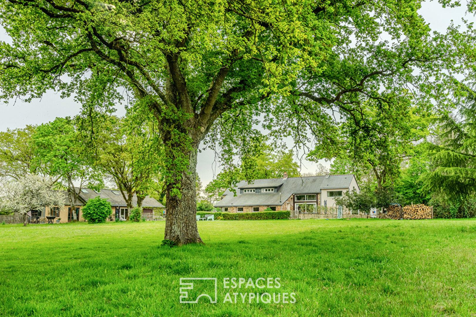 Exceptional bucolic complex Large house (200m2) and its cottage (sleeps 15) close to the canals of t