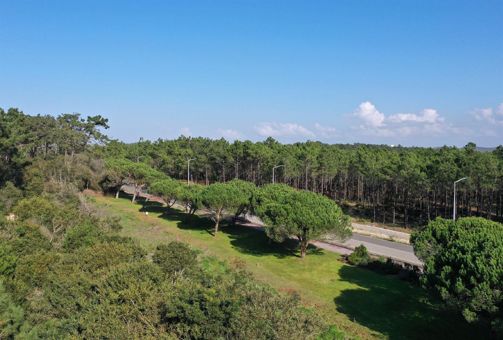 New beach apartment with pool | Silver Coast Portugal