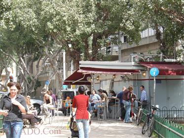 בלב תל אביב - דירת גג מיוחדת ומעוצבת ברמה גבוהה בניין יוקרה נוף עד קו הים מעל גגות העיר