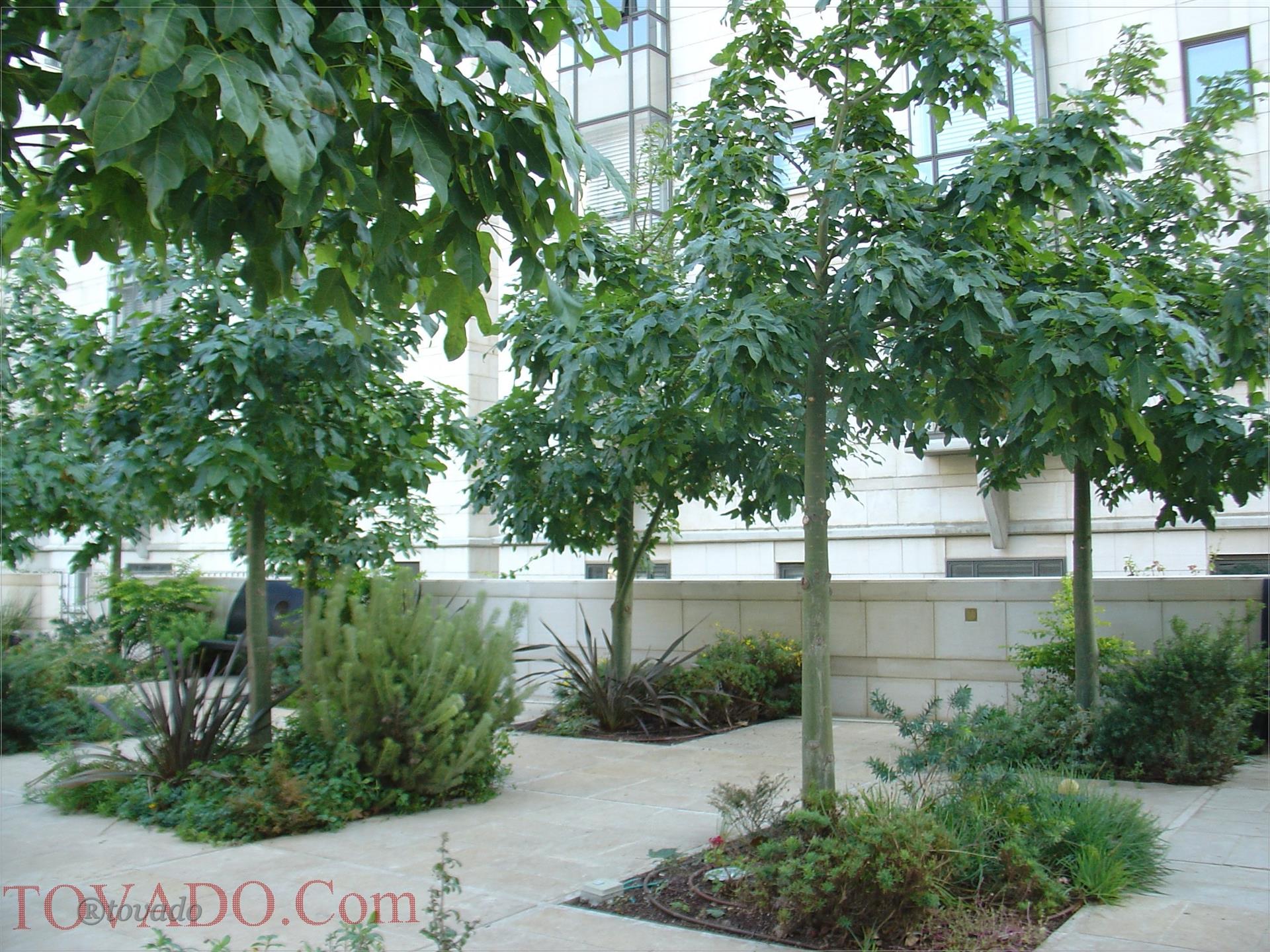For Sale: Luxurious Garden Apartment in Rova Lev Ha'ir!