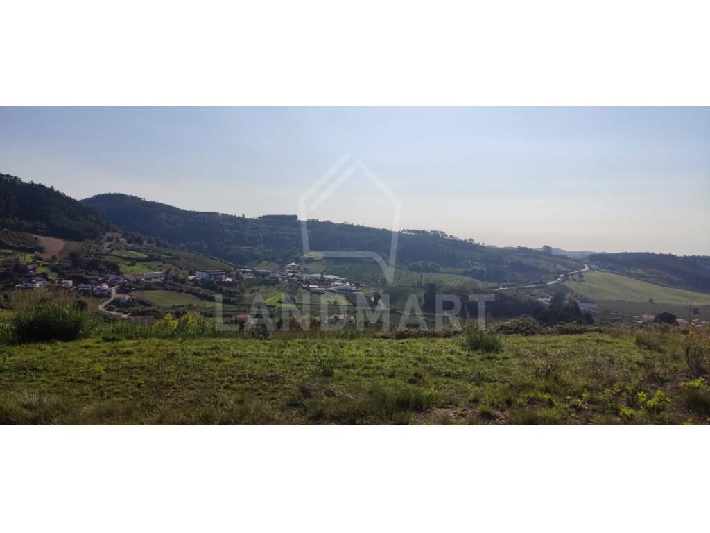 Land Sale Alcobaça