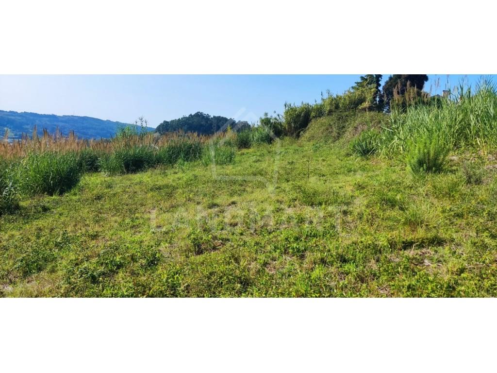 Land Sale Alcobaça