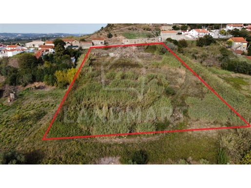 Grundstück Verkauf Alcobaça