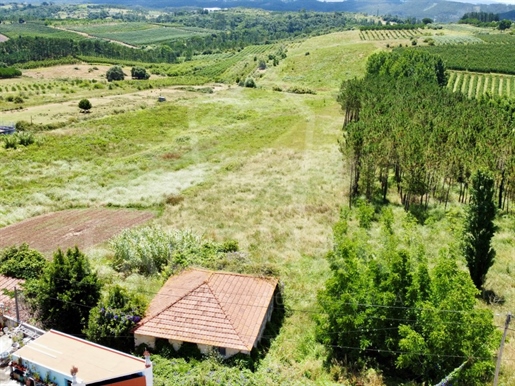 Villa 2 chambres à restaurer - Montes