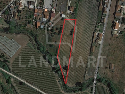 Grundstück Verkauf Rio Maior