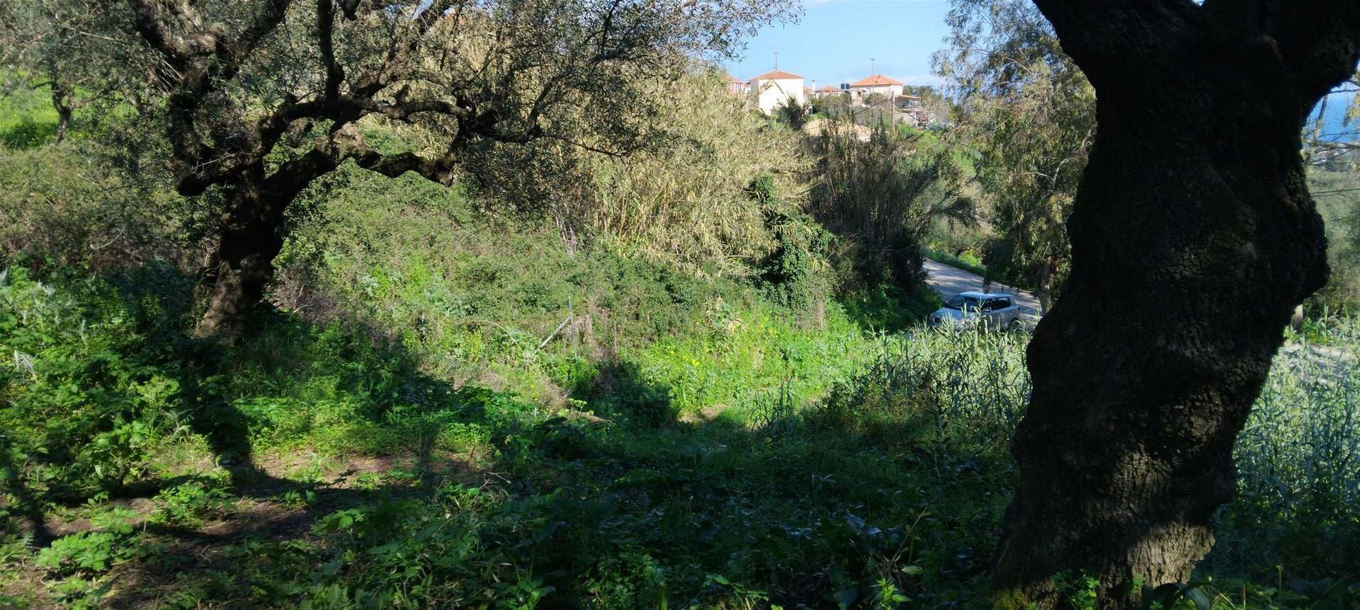 Tragaki Apollonas