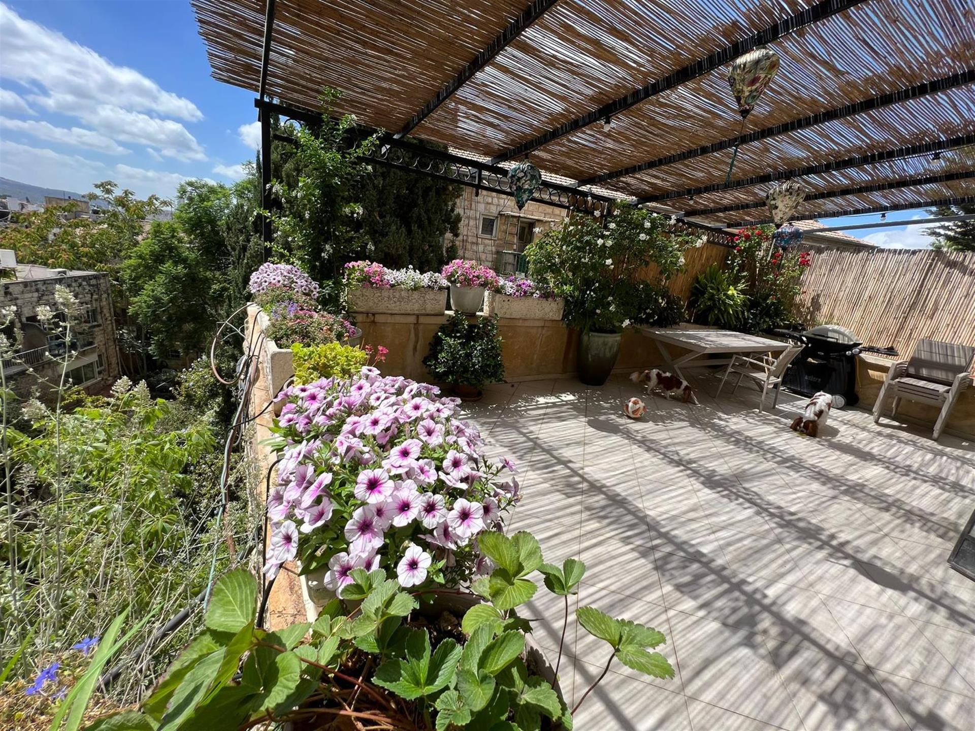 In the heart of classic Rehavia, on the serene and picturesque Alfassi Street, a charming one-way ro