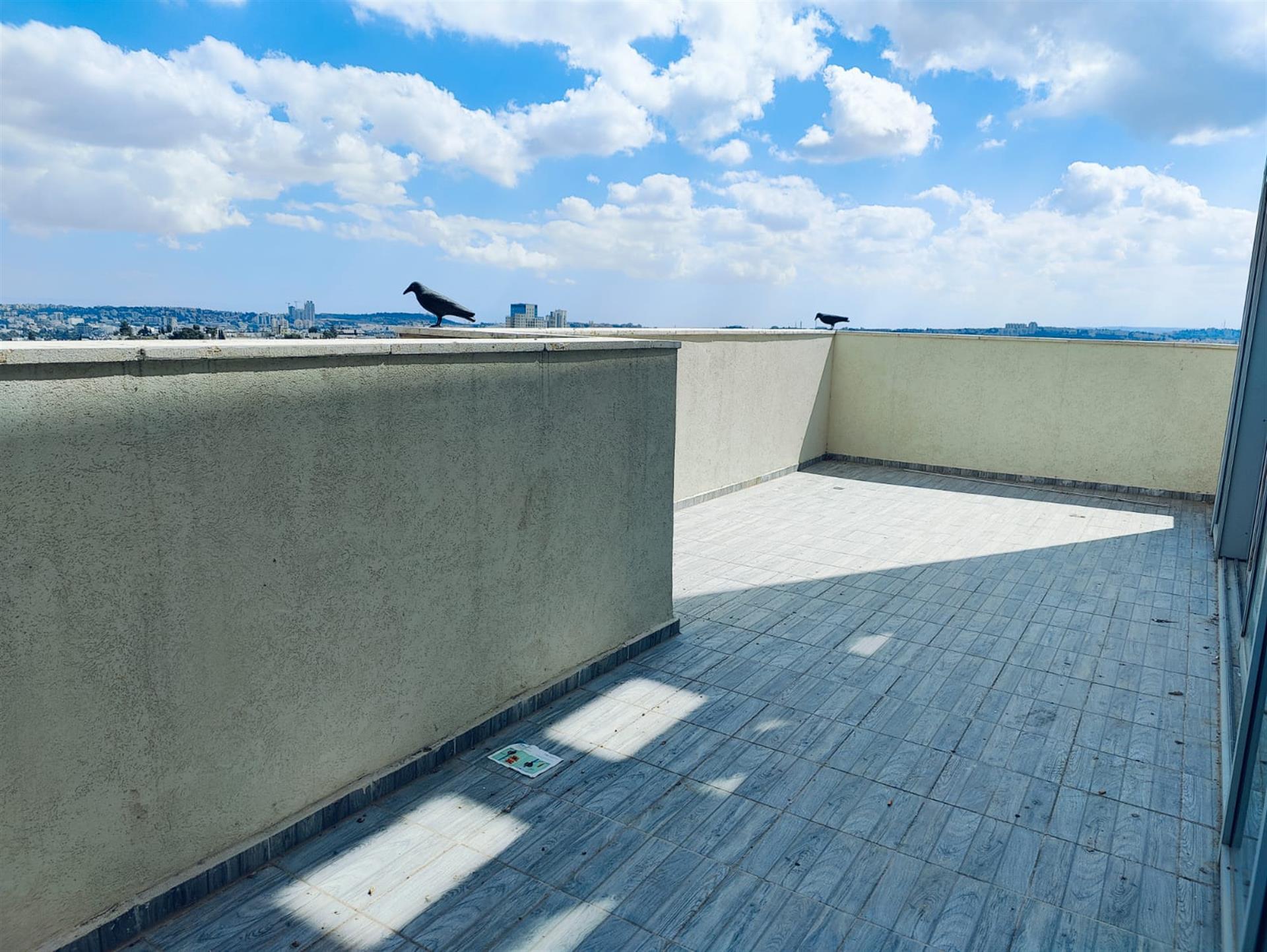 Penthouse for Sale in Kiryat Yovel / Beit Vagan