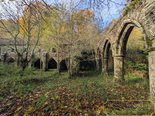 Sole agent - Remains Of Belle Ãtoile Abbey - Romantic Site - 18Th C. Hotel - 15th C. Cloister - Ruin