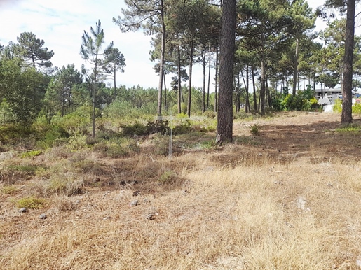 Land met 1714m2, met goedgekeurd project voor huisvesting, verfijning gebied - Herdade da Aroeira