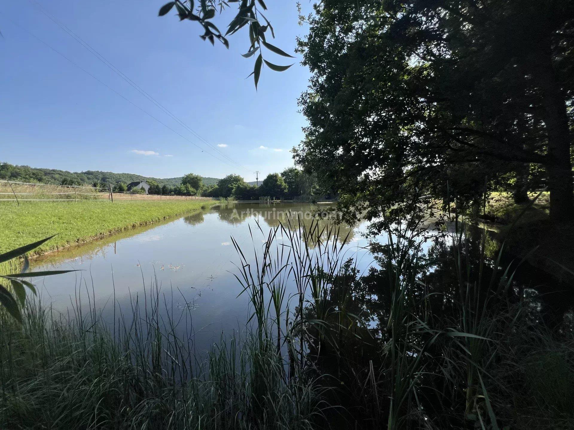 Bourgogne, Parc du Morvan, à St Germain de Modéon