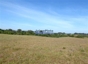 640.000M2 of cultivated land, 60.000m2 of which are irrigated. Portugal, Beja, Odemira.