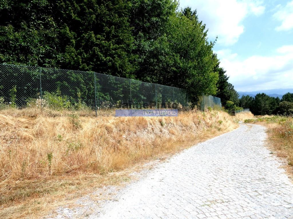 34,000M2 of land (farm) and 2 ruins 8 minutes from the River Douro. Portugal, Baião.