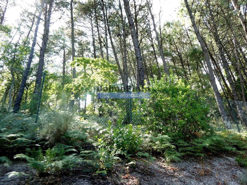 34,000M2 of land (farm) and 2 ruins 8 minutes from the River Douro. Portugal, Baião.