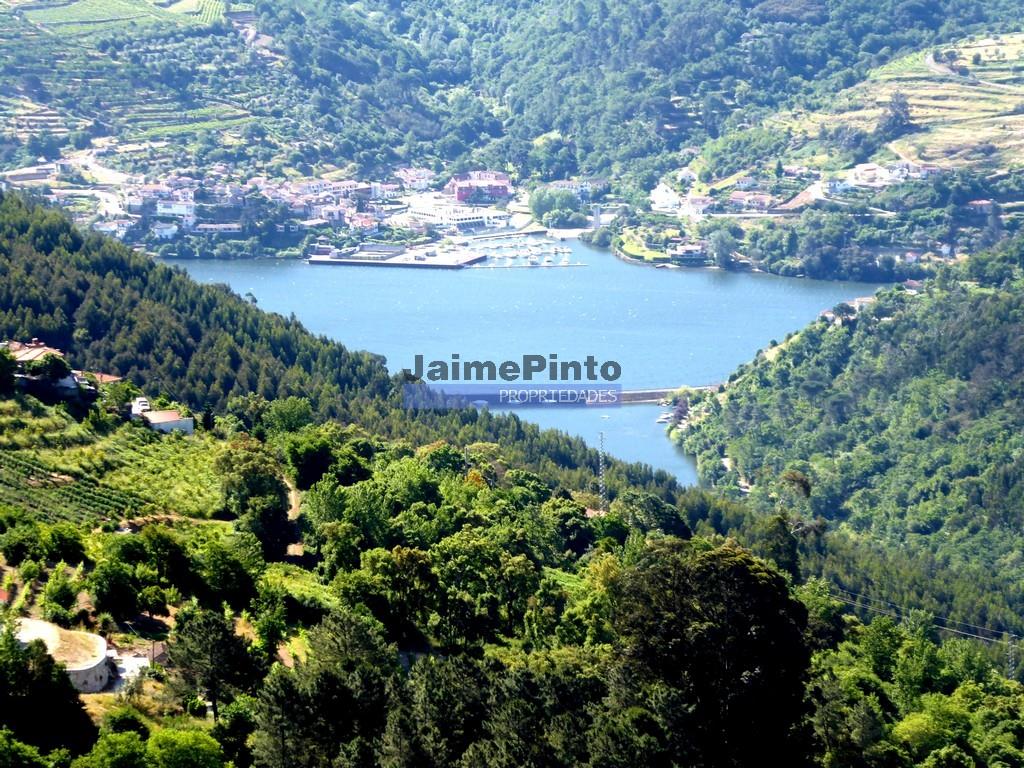 34,000M2 of land (farm) and 2 ruins 8 minutes from the River Douro. Portugal, Baião.